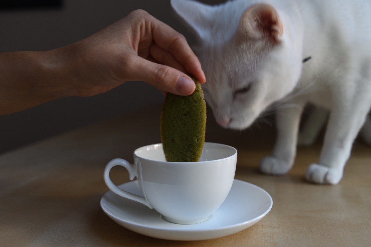 Ricetta del lingue di gatto al tè verde matcha